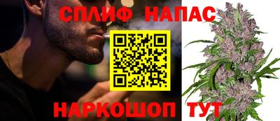тгк Пенза