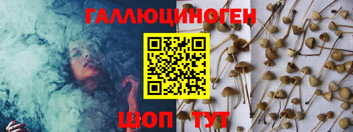 Галлюциногенные грибы мухоморы  Псилоцибиновые грибы MAGIC MUSHROOMS  Свободный  Вход с VPN 
