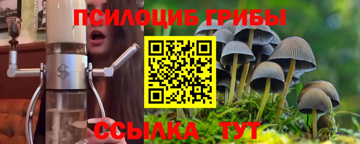 Псилоцибиновые грибы Psilocybine cubensis Свободный